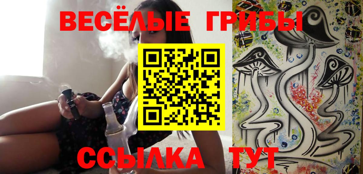 Псилоцибиновые грибы мухоморы  Вход с VPN  Галлюциногенные грибы MAGIC MUSHROOMS  где можно купить наркотик  Строитель 